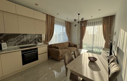 BestHome-45 Excellence | 1+1 | B-33