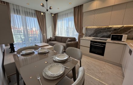 BestHome-45 Excellence | 1+1 | B-31