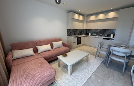 BestHome-45 Excellence | 1+1 | C-24